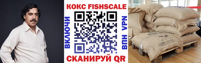 darknet наркотические препараты  Мышкин  COCAIN FishScale  наркотики 