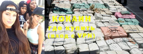 индика Белоозёрский