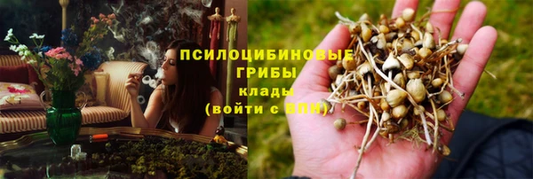 индика Белоозёрский