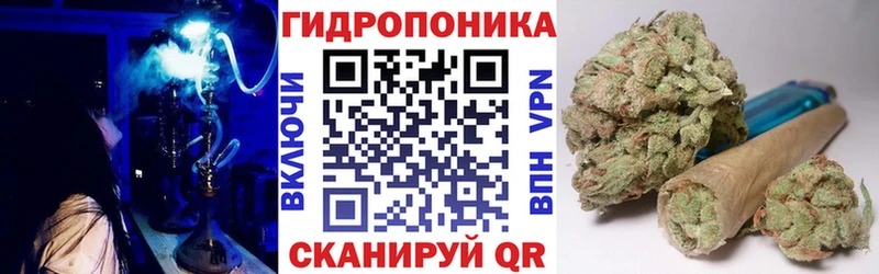 mega маркетплейс  маркетплейс клад  Каннабис VHQ  Мышкин 
